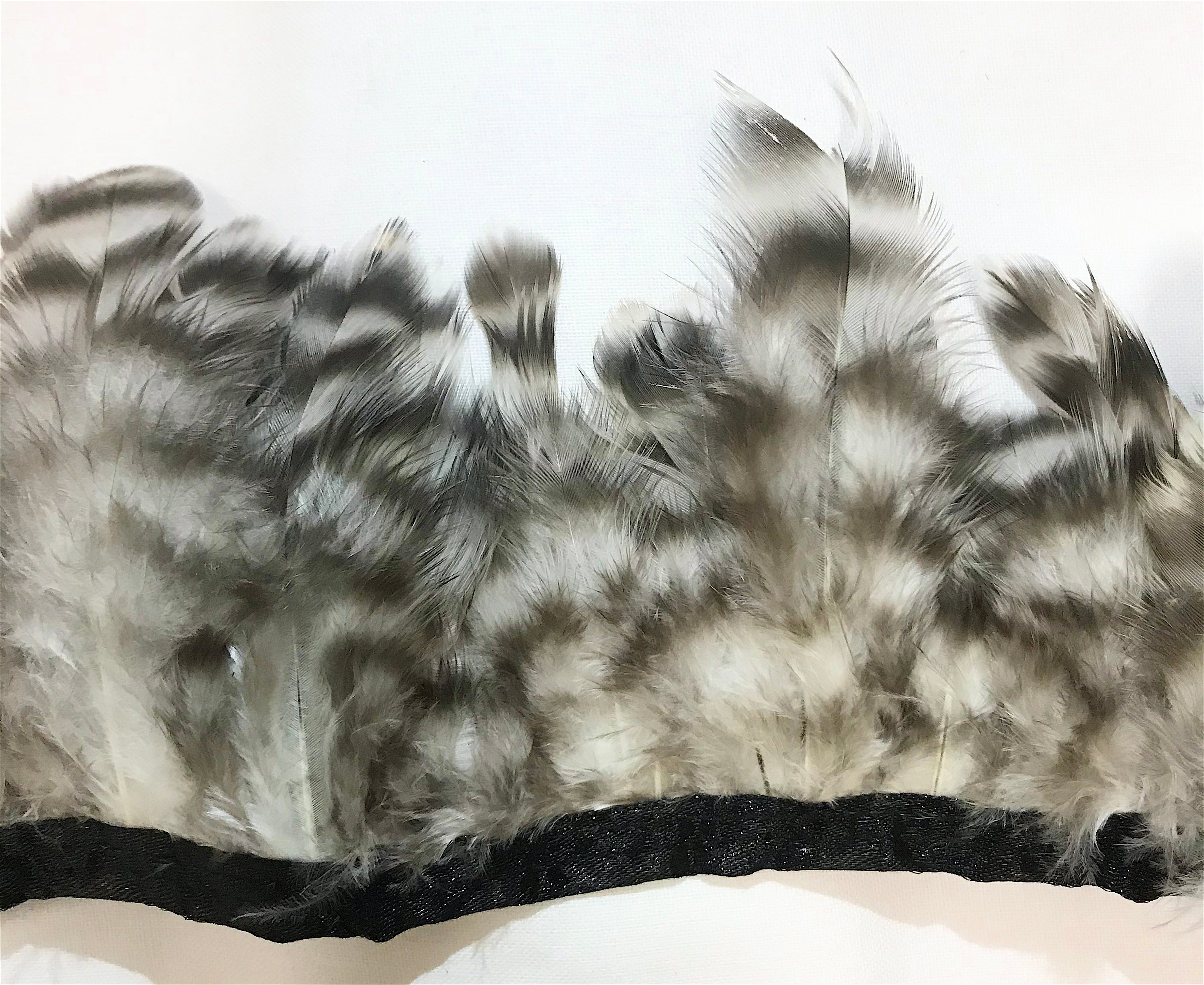 Chinchilla Schlappen (by the Yard) – Schuman Feathers