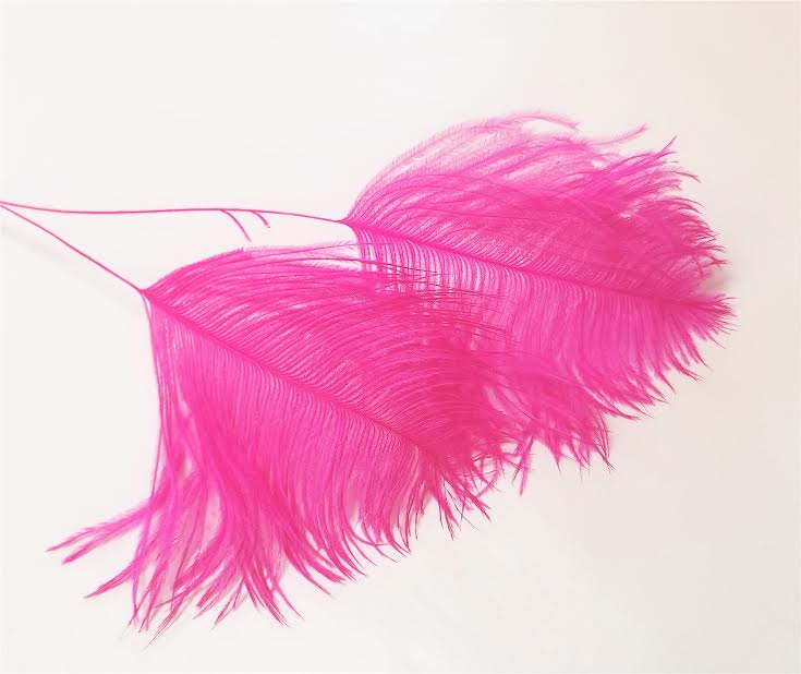 Ostrich Plume Tips, 20 inches long, pack of 6 – Schuman Feathers