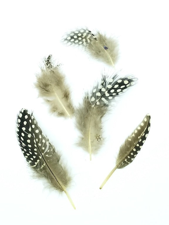 Germ Decorative White Hat Feather for Festival Hats