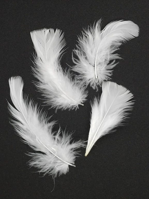 White Feathers Craft Feathers Natural Feathers Loose 