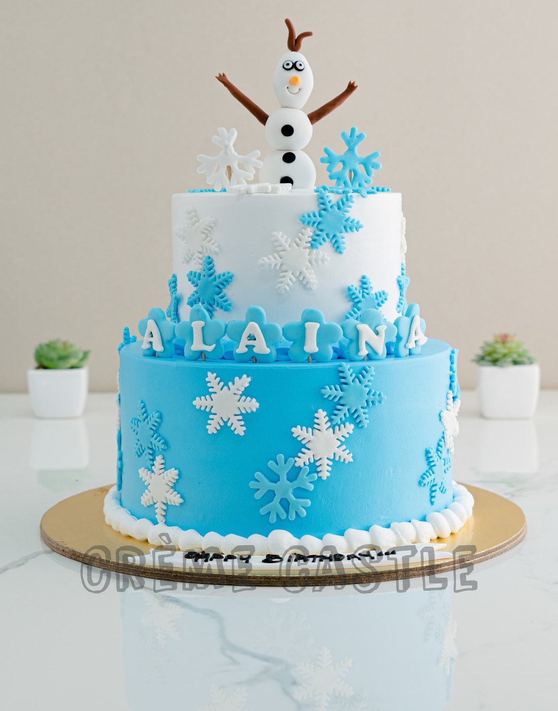 Snowy Frozen Cake – Creme Castle