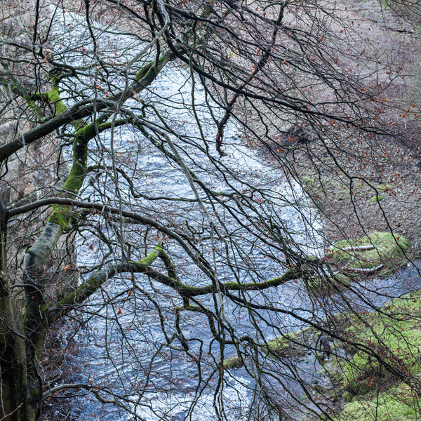 lambley viaduct river tyne