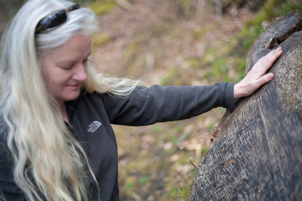 shona branigan oak tree printing shou Sugi ban