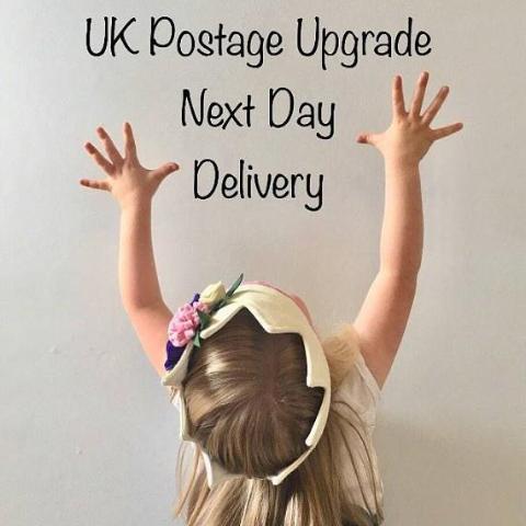UK Saturday NEXT DAY GUARENTEED DELIVERY