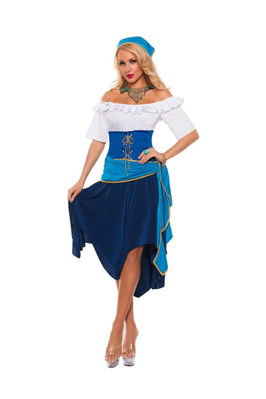 Starline Women S Gypsy Costume Nastassy