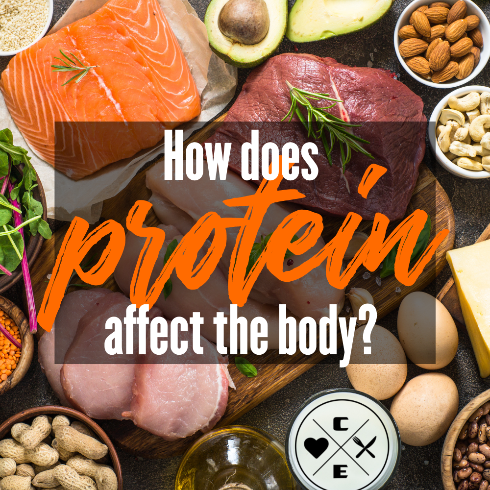 How does protein effect the body?