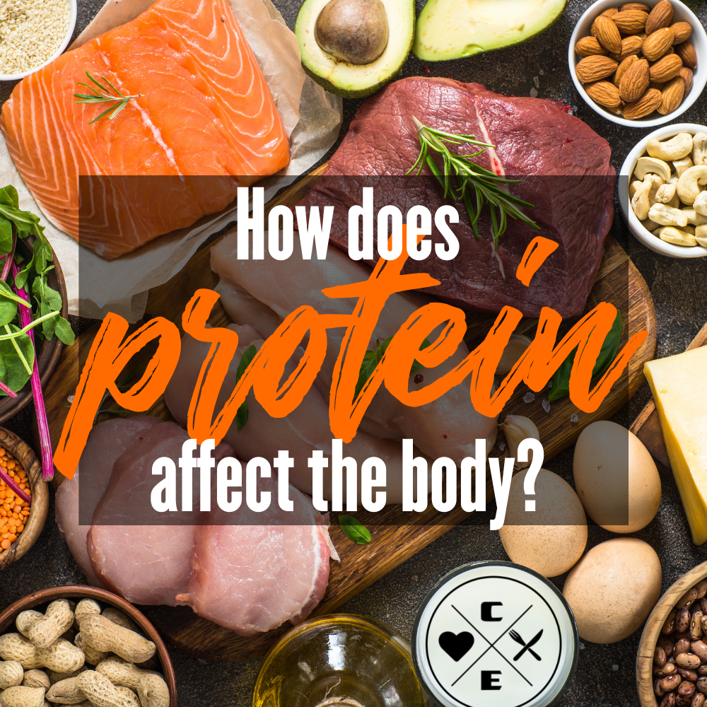 How does protein affect the body?