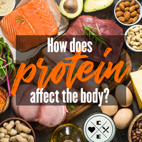 How does protein effect the body?