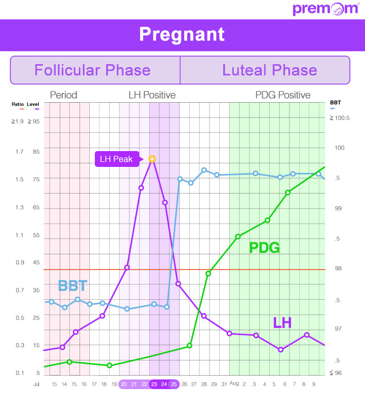 Ovulation Calculator & Calendar: When Do I Ovulate?