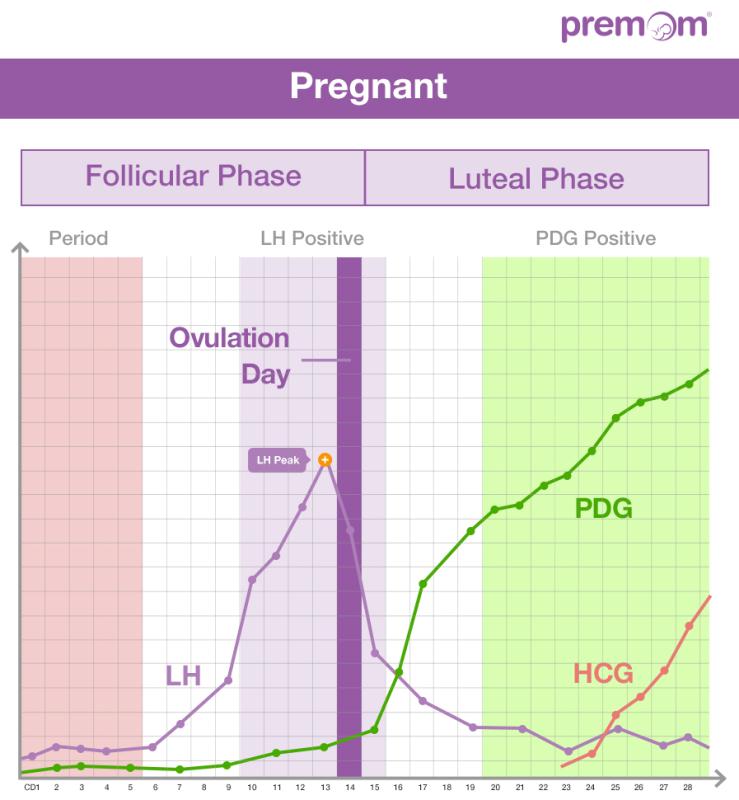 Hcg And Progesterone Levels Chart