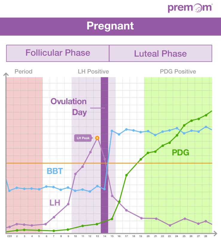 Sample Bbt Chart Showing Ovulation