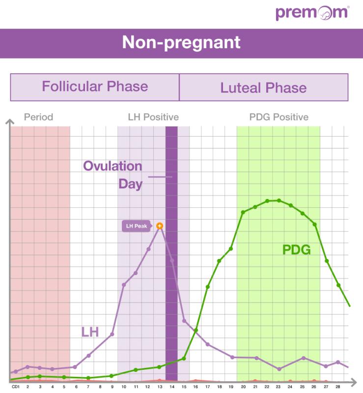 Ovulation Kit Chart