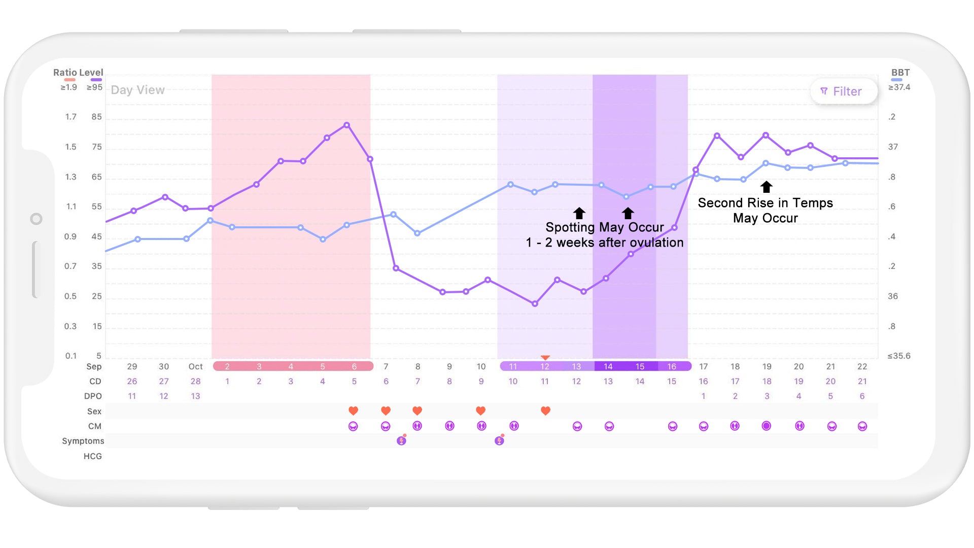 Ovulation Chart Example