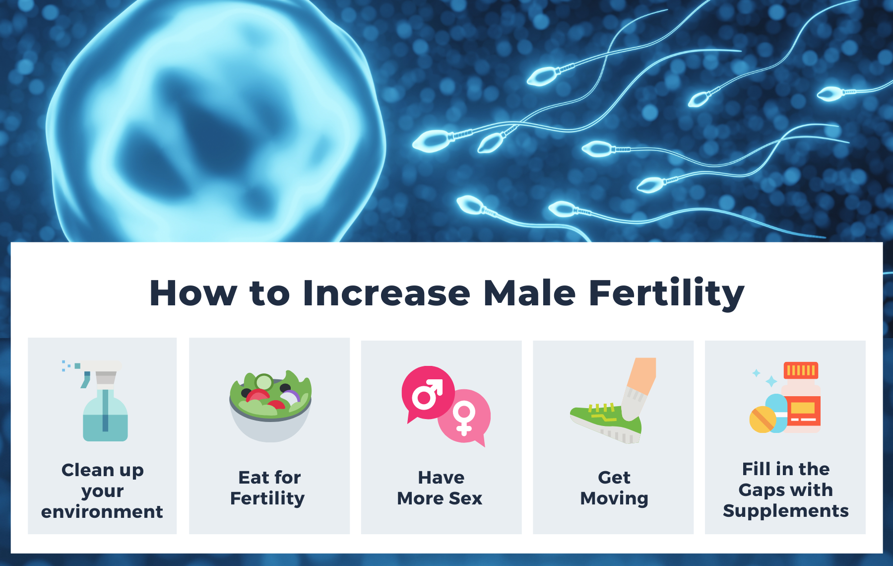 How To Boost Male Fertility 