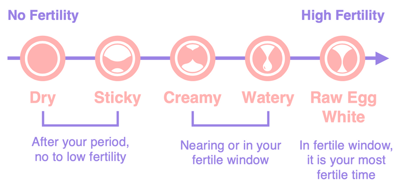 Fertility? Infertility? See How Your Ovulation Chart Compares – Easy@Home  Fertility