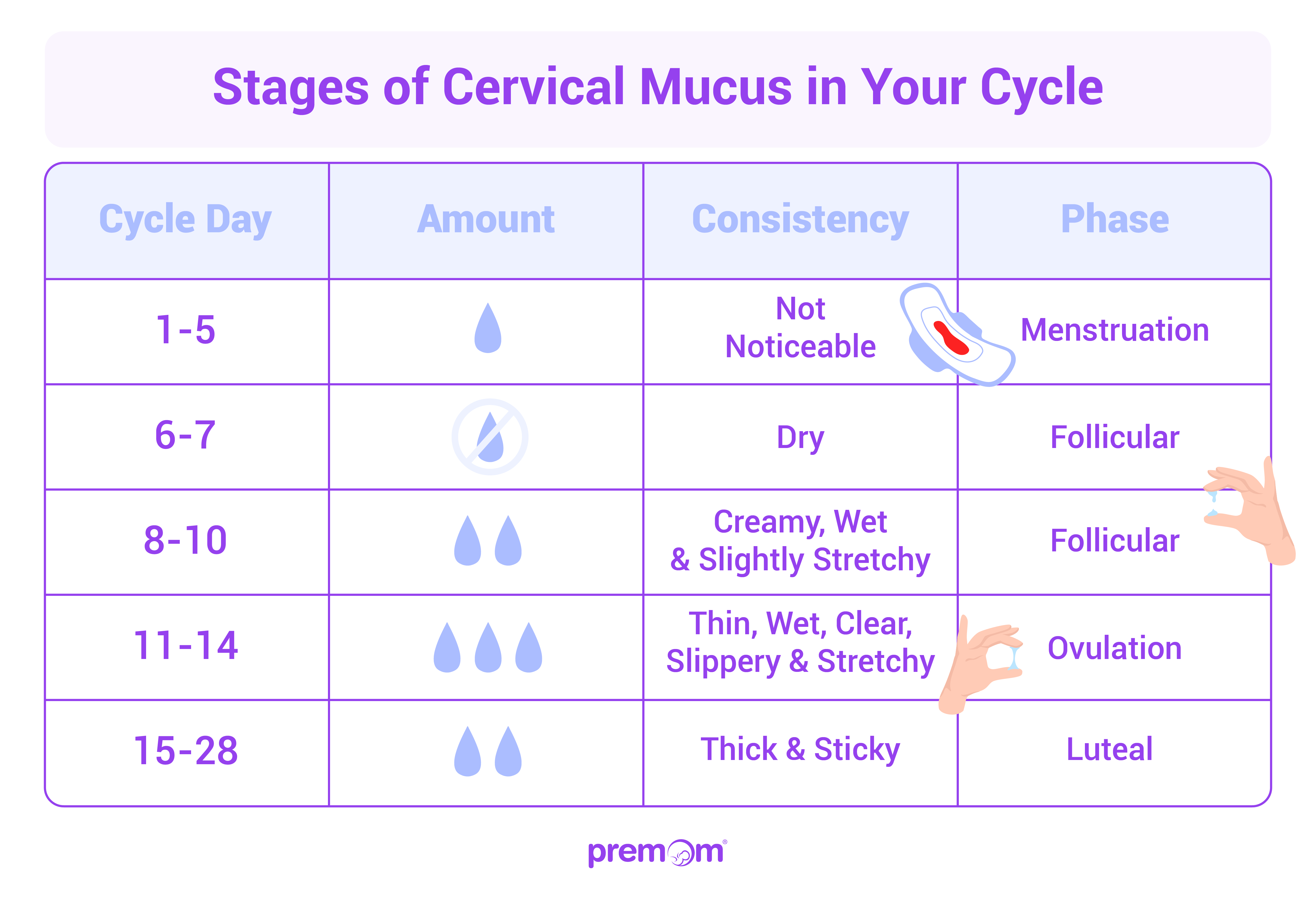 cervical mucus watery