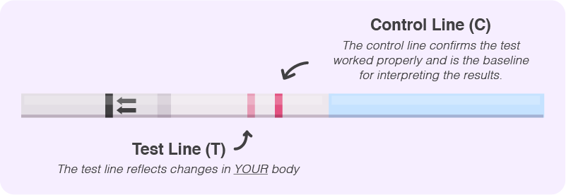 Ovulation Test Strips: Can They Help You Get Pregnant?