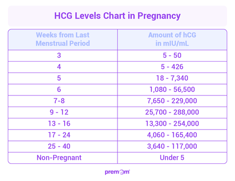 HCG Levels in Early Pregnancy - Premom