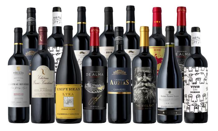 Groupon Connoisseur Collection 15 Pack Splash Wines