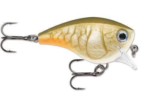 13 FISHING - Jabber Jaw - Hybrid Squarebill - 2.3 - 1/2oz - Fire and Ice  Craw - JJC60-77 : : Sports & Outdoors