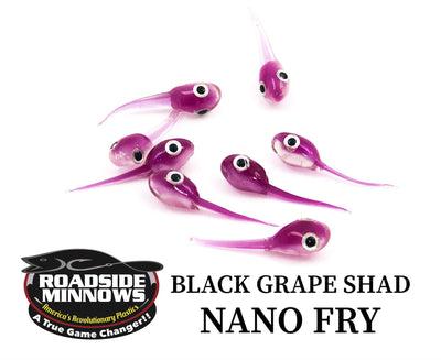 ROADSIDE MINNOWS 1" NANO FRY BLACK GRAPE SHAD Roadside Minnows 1" Nano Fry