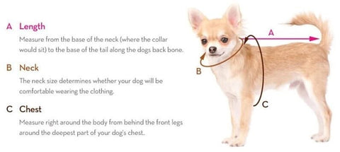 dog-measuring-guide-poochie-fashion