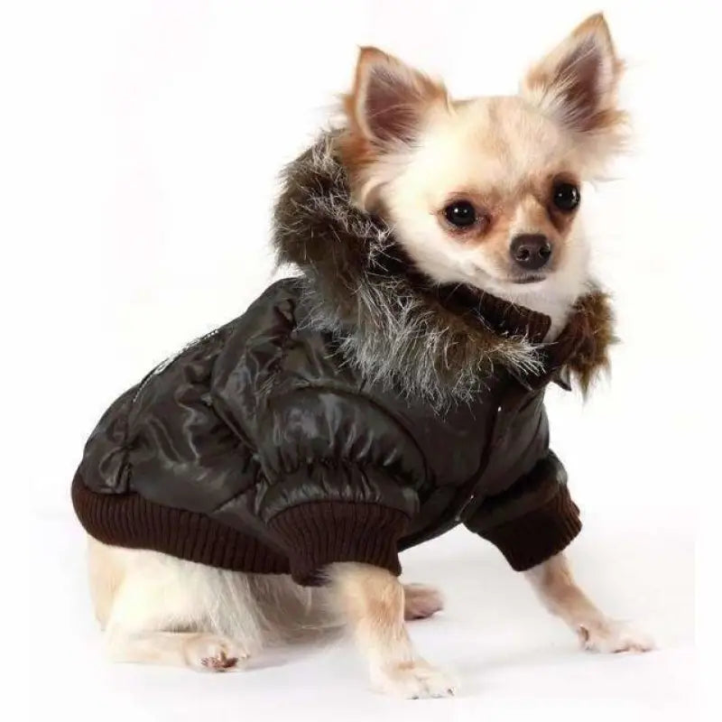 Hot Sale Luxury Dog Clothes Designer's Dog Sweater Chihuahua