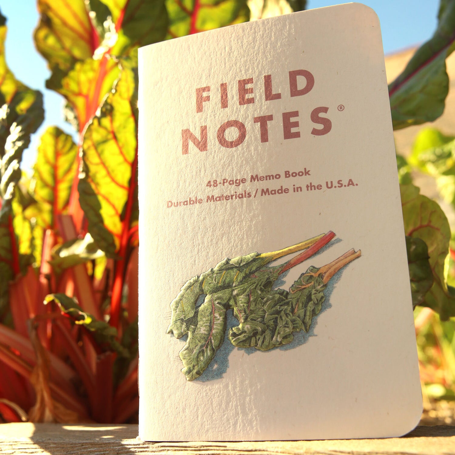 Field Notes Harvest Notebooks (Pack of 3)