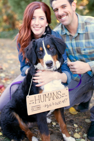 Use your dog to announce your engagement