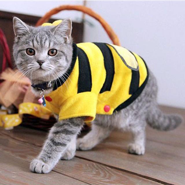 cutecatslovers-yellow-17cm-cute-bees-cat-clothes-soft-fleece-teddy-poodle-3590223495270.jpg?v=1529795953