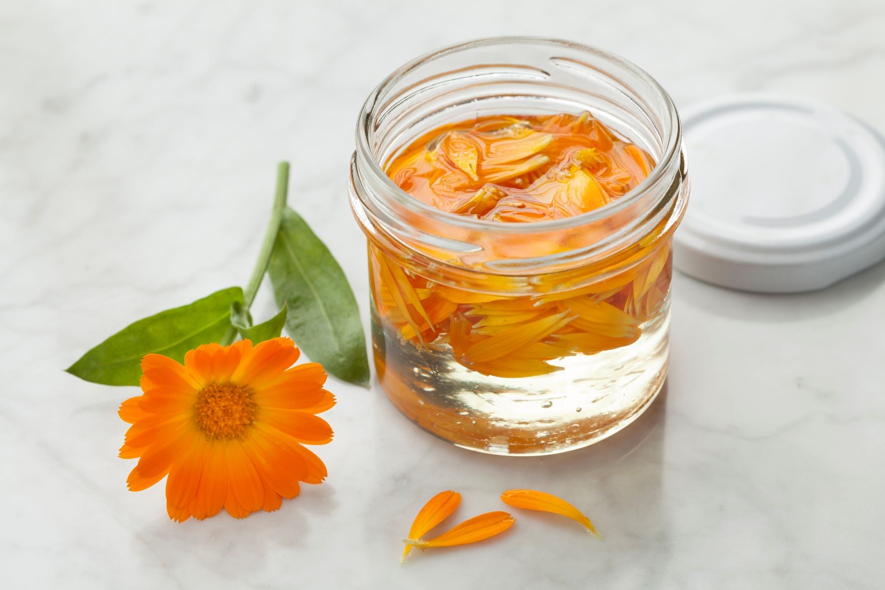 A jar of calendula oil with calendula petals on top and a calendula flower nearby on a white surface. Concept of calendula oil for babies.