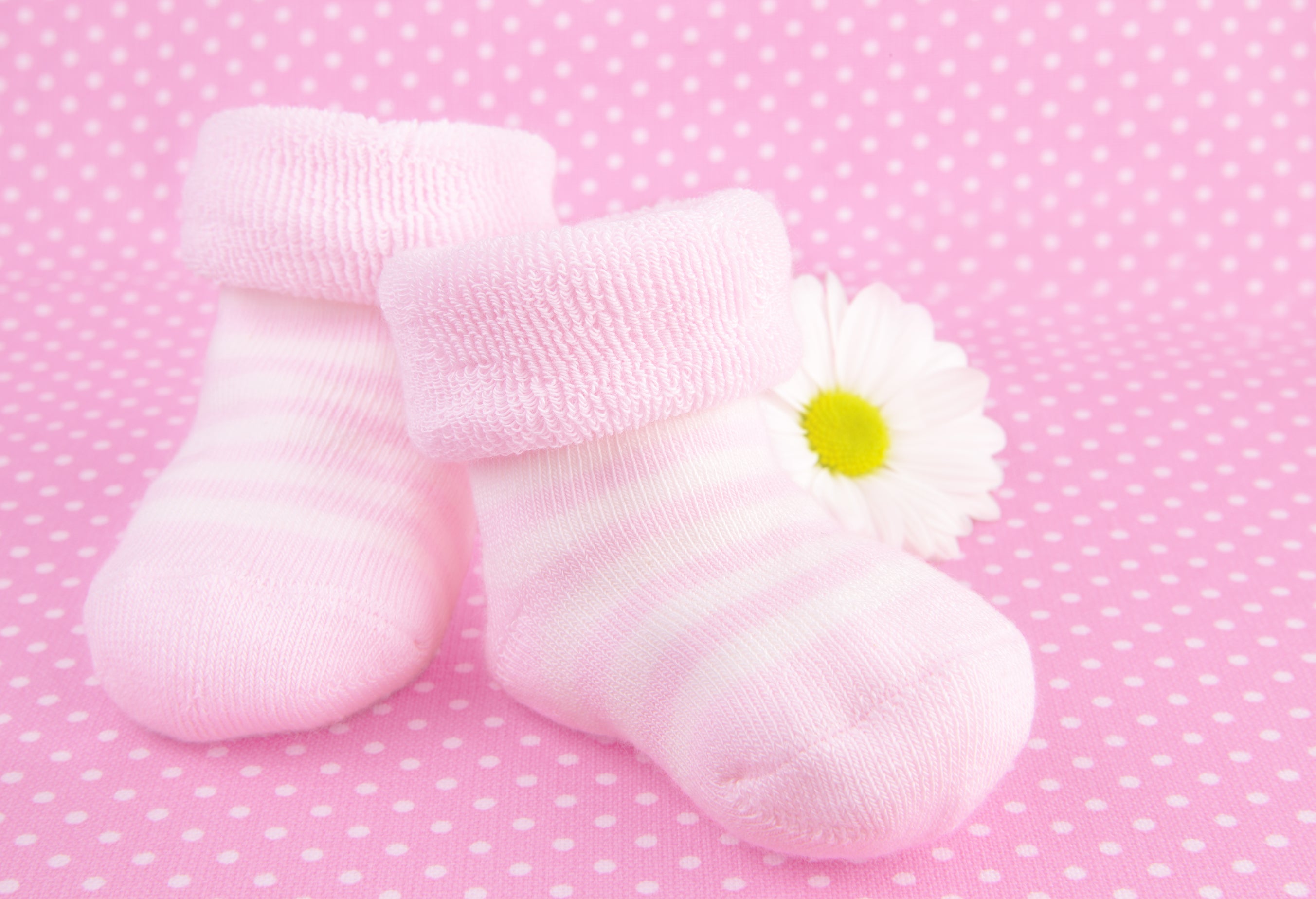 A pair of woolen pink socks for a newborn baby alongside a white flower. You can turn your baby's outgrown baby socks into sock puppets!