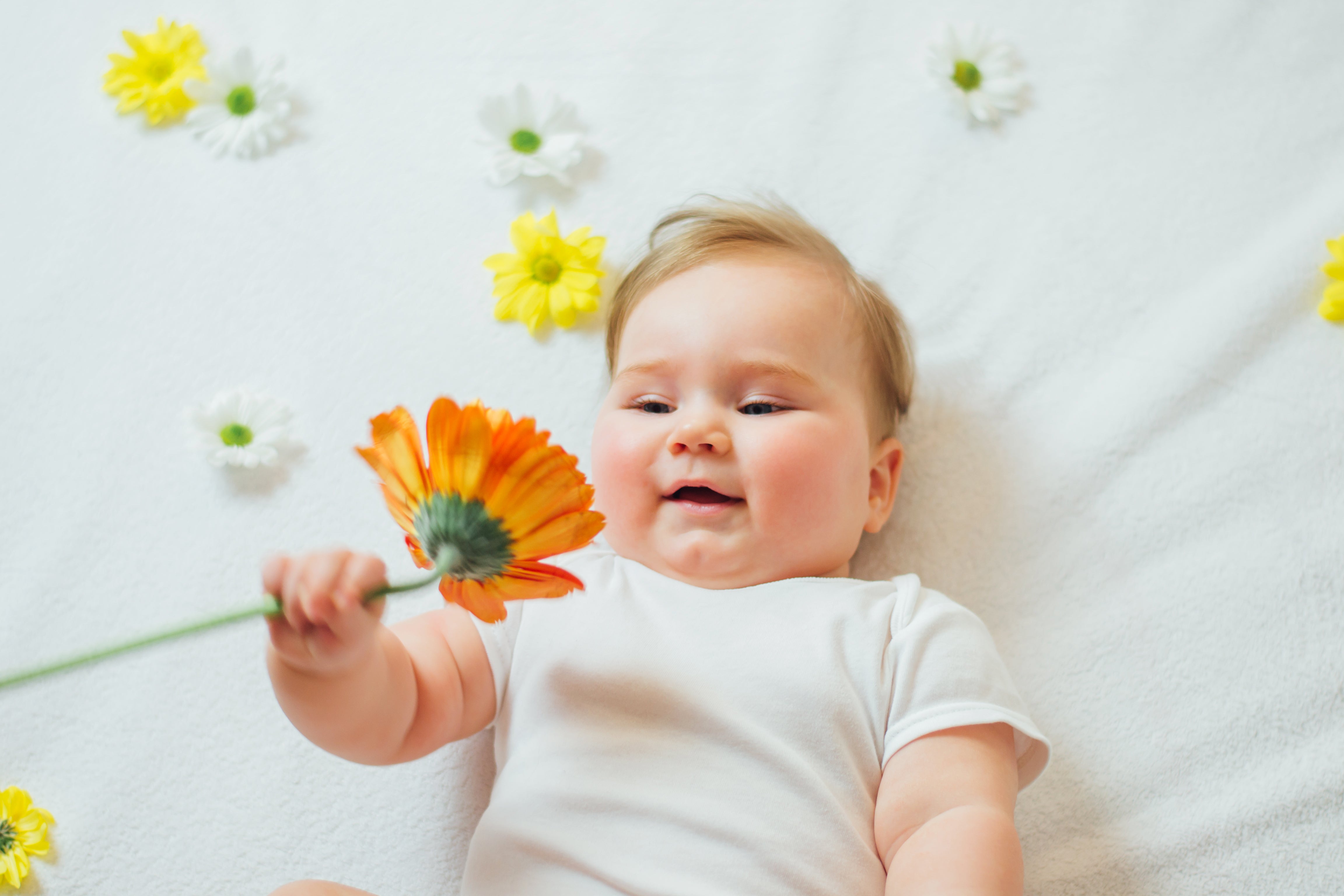 A happy baby on a white bed holding a calendula flower. 