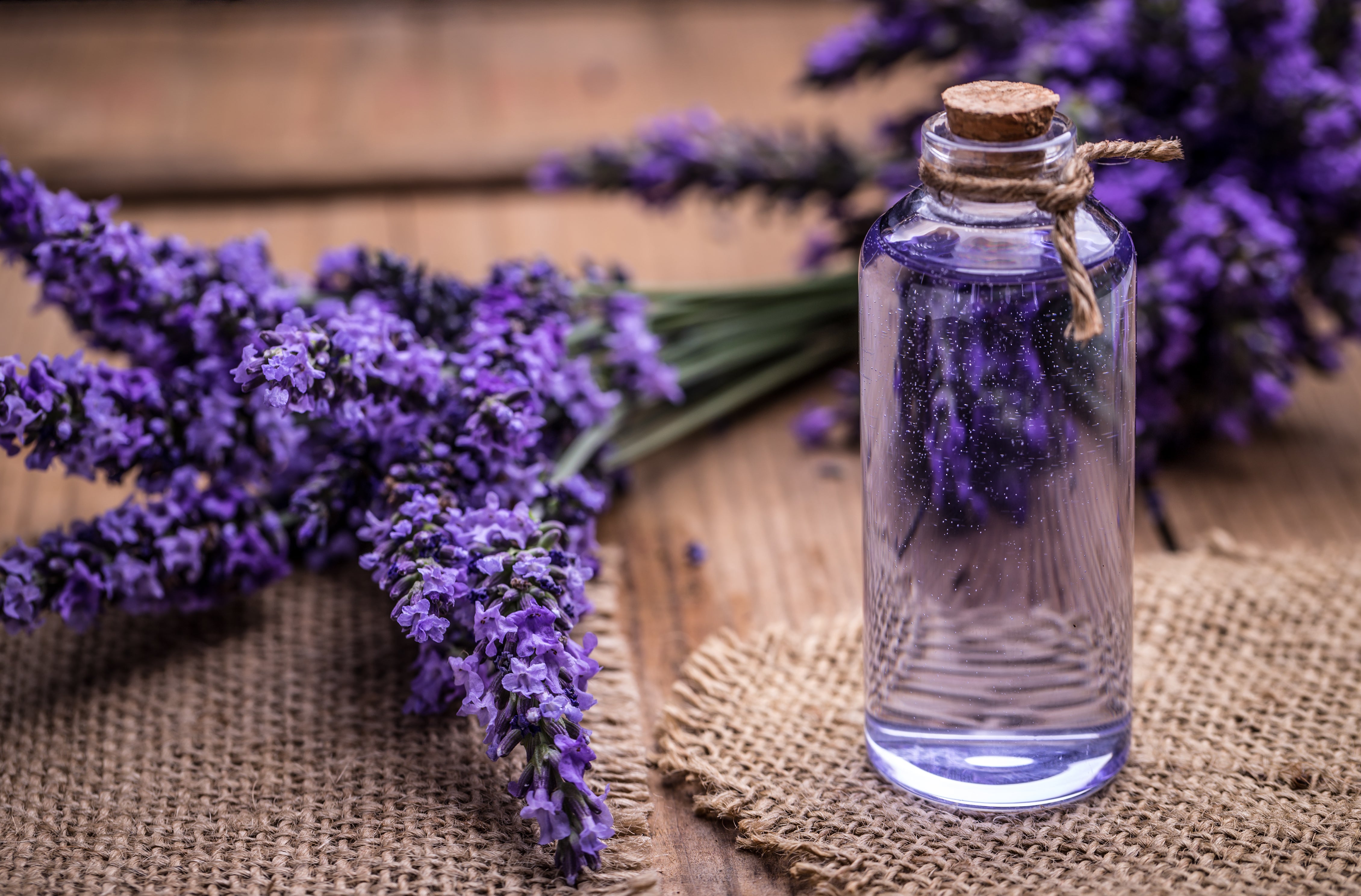 Lavender flowers and a bottle of lavender oil. Rugged burlap surface. Concept of essential oil, lavender oil for babies.