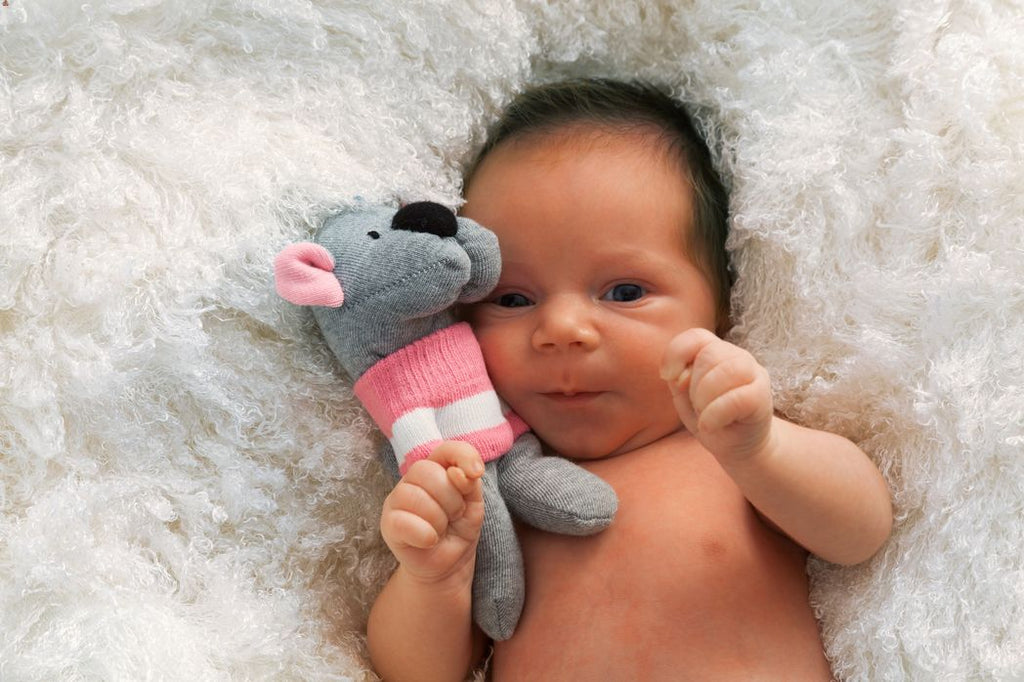 A newborn baby holding a cloth toy or rag doll.