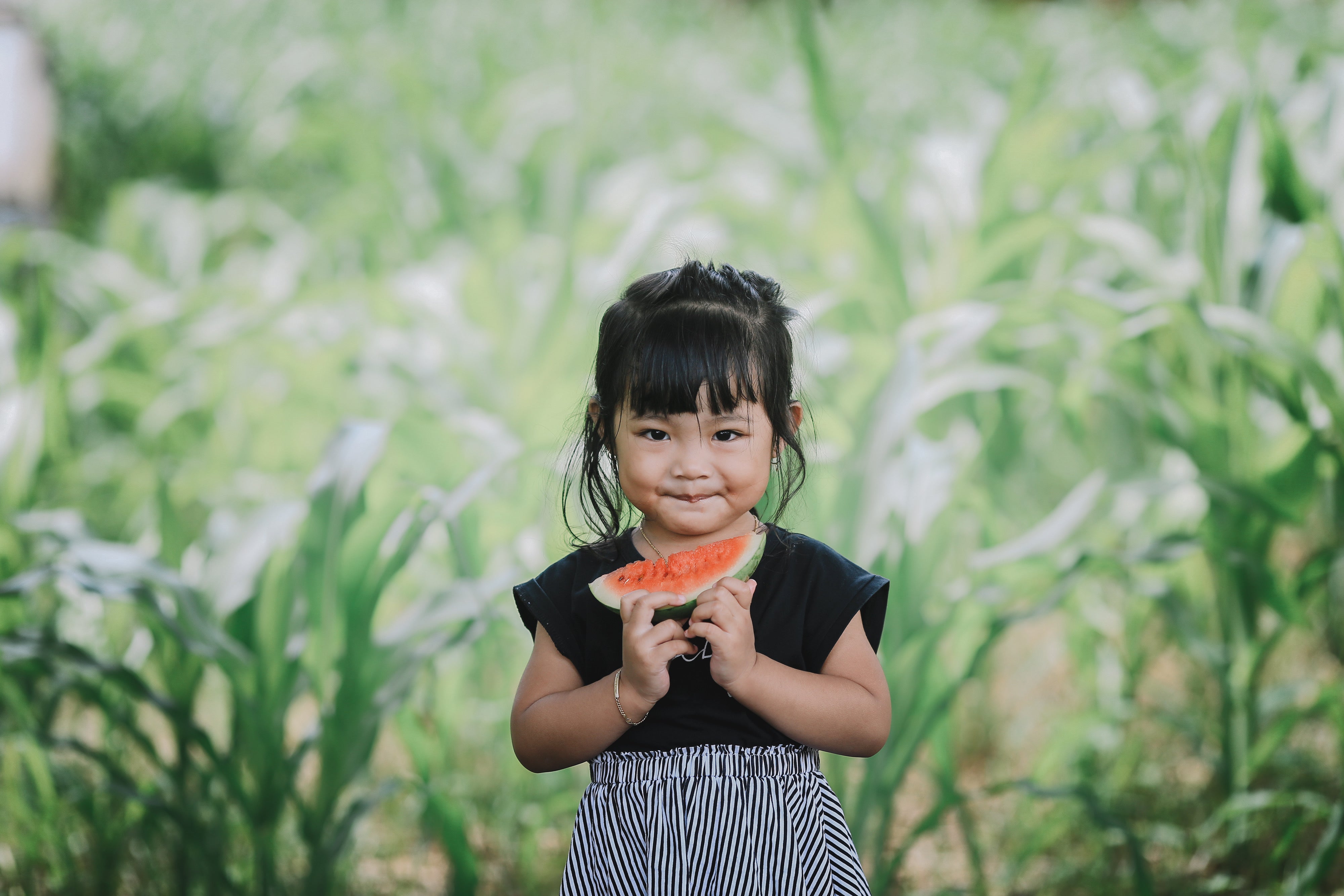 A cute Asian toddler eating watermelon slice on a hot summer day in a garden. Concept of healthy summer snacks for toddlers.