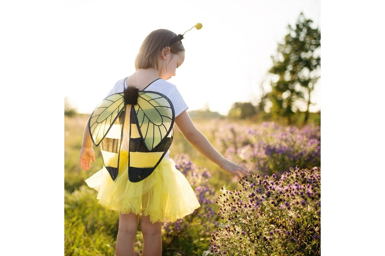 Bumblebee Tutu and Wings