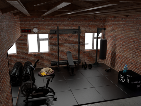 garage_gym