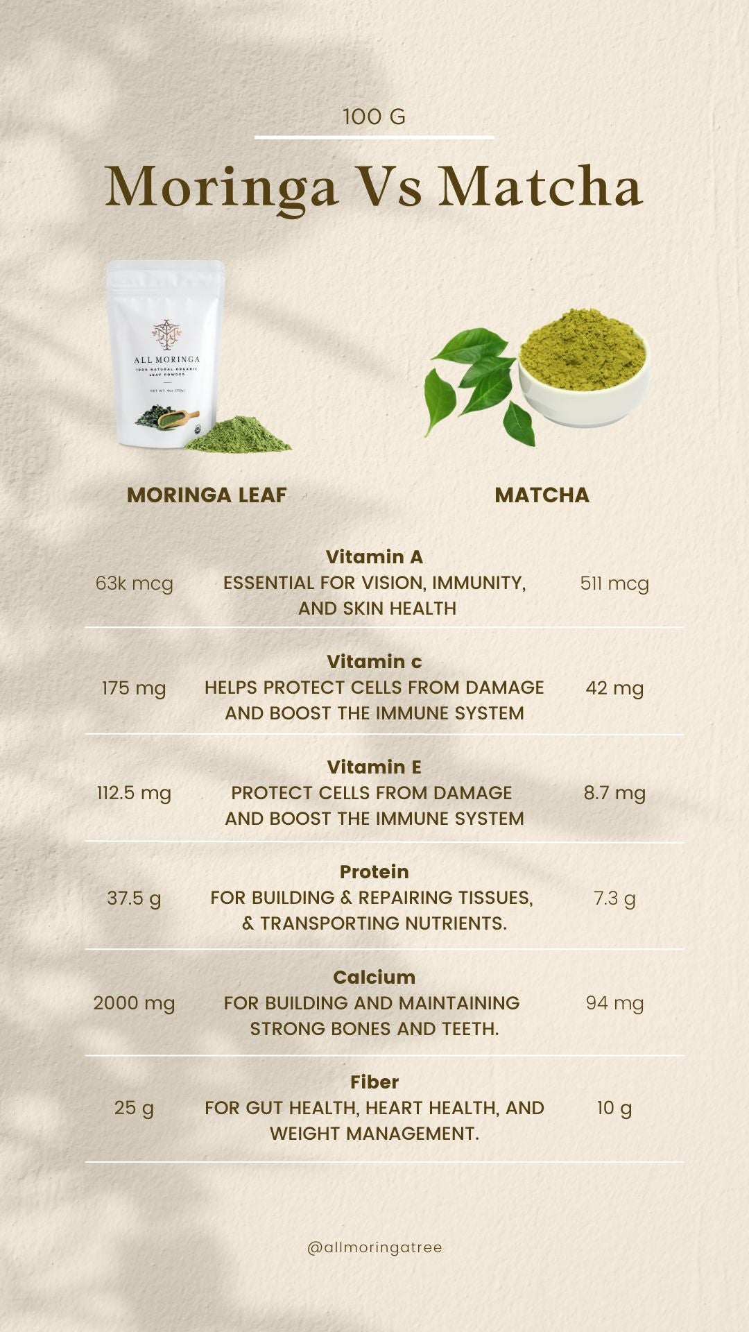Moringa Vs Matcha benefits Infographic