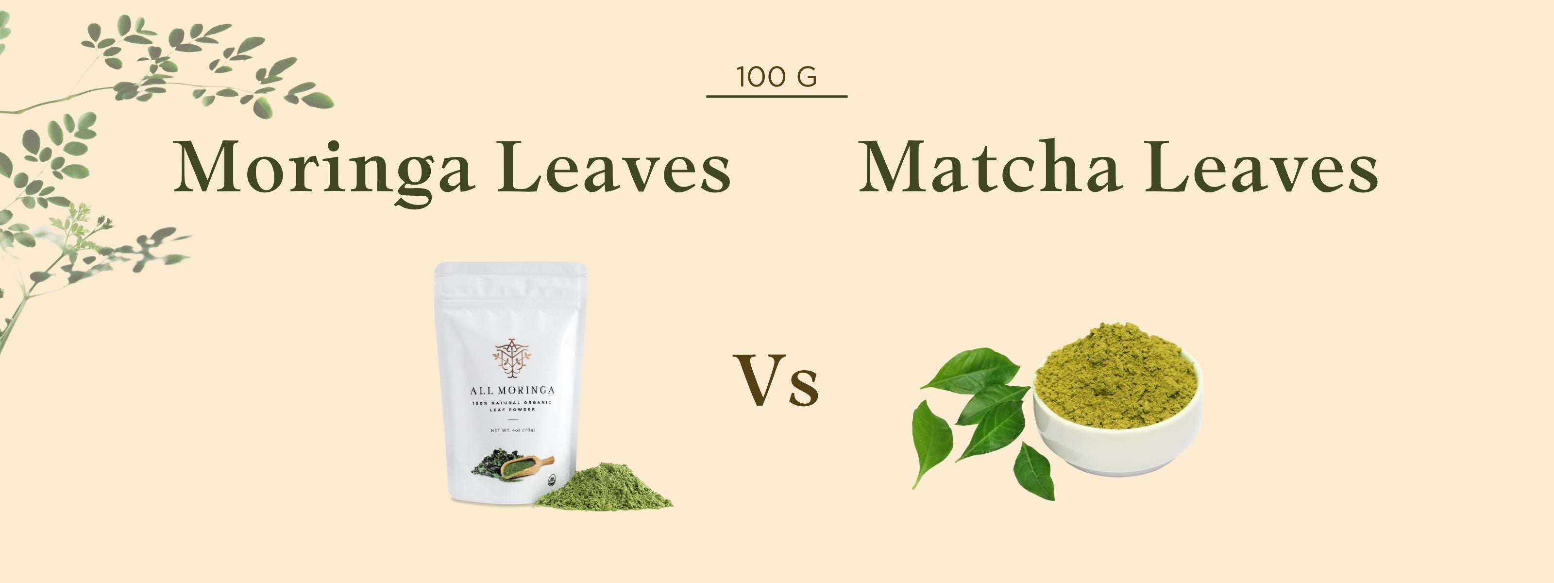 Moringa Leaves and  Matcha Leaves compare