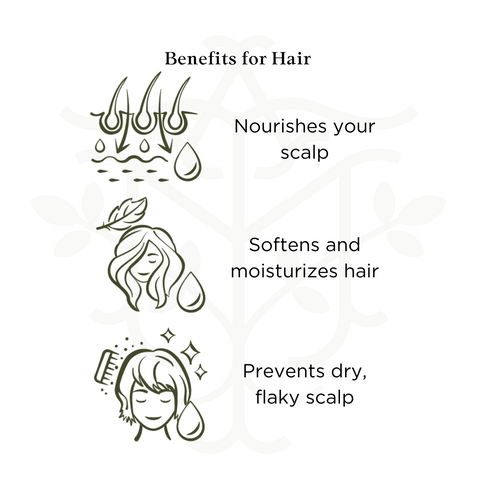 infographic benefits moringa seed oil for hair