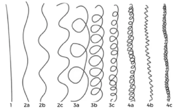 Hair Type Chart How to Determine Your Actual Hair Type