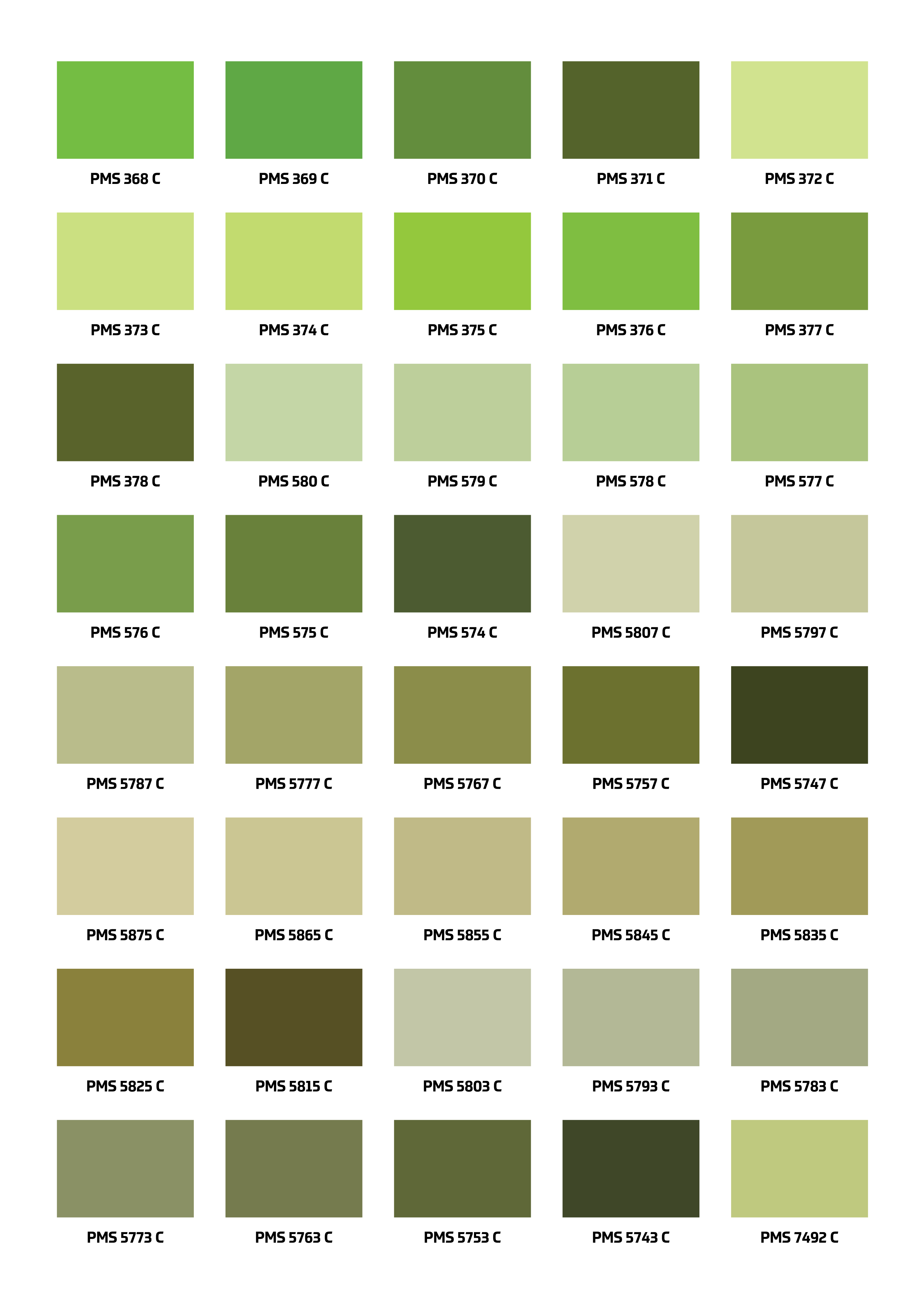 Pantone Color Chart - Coloring