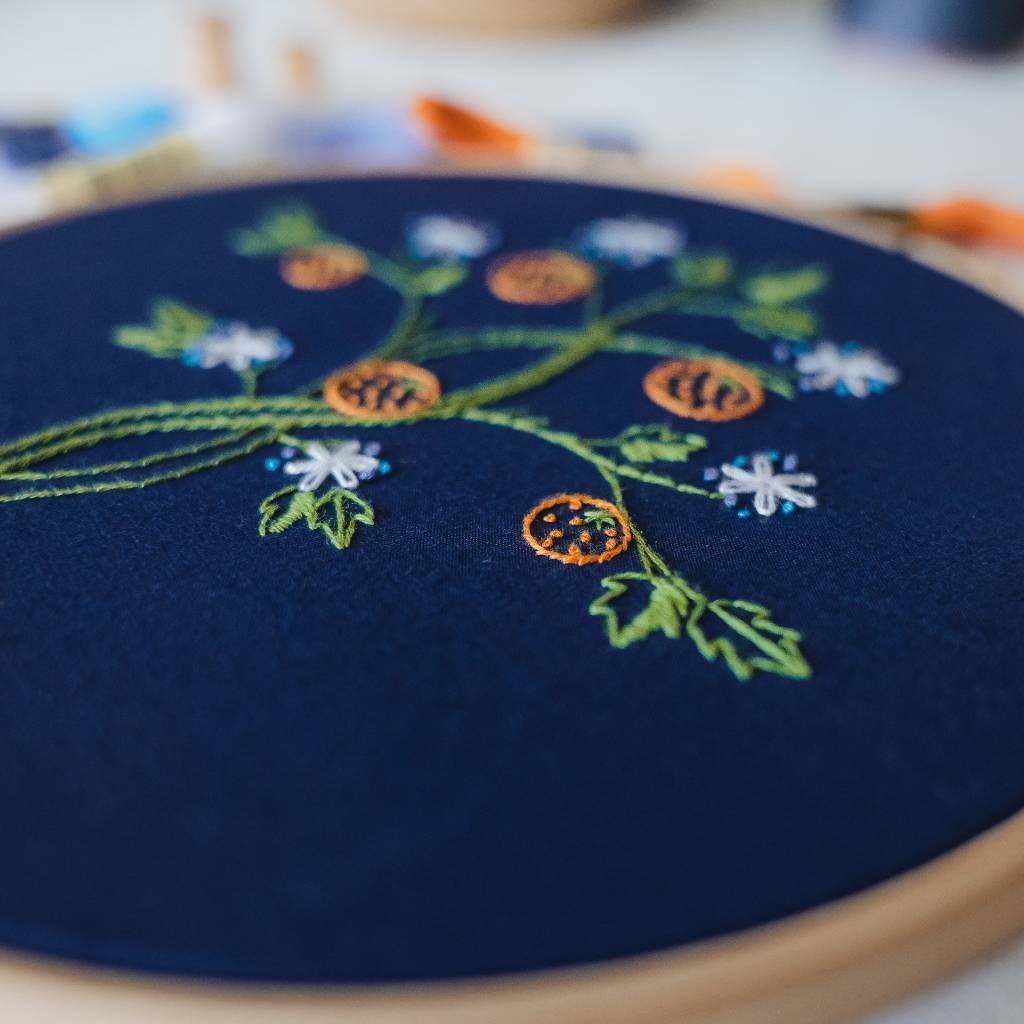  WOFEIS Embroidery Starter Kit with Peacock Pattern and