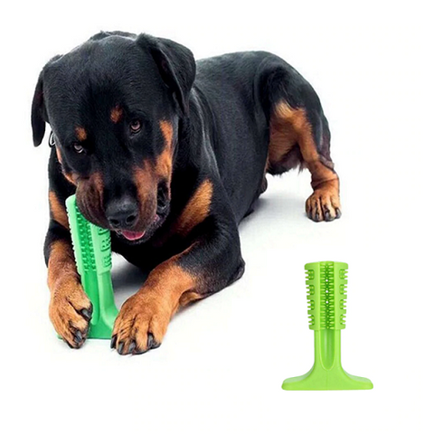 dog toothbrush stick