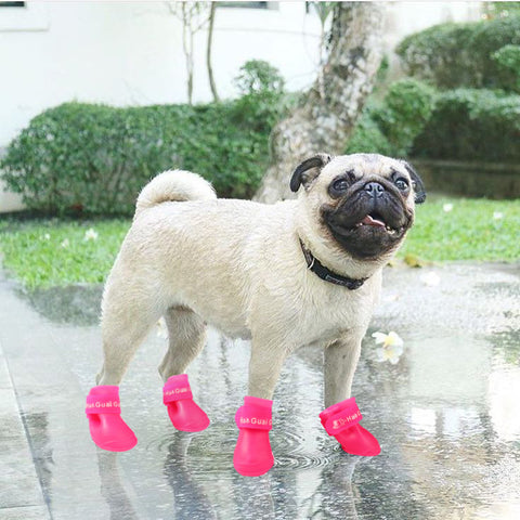 dog booties for mud