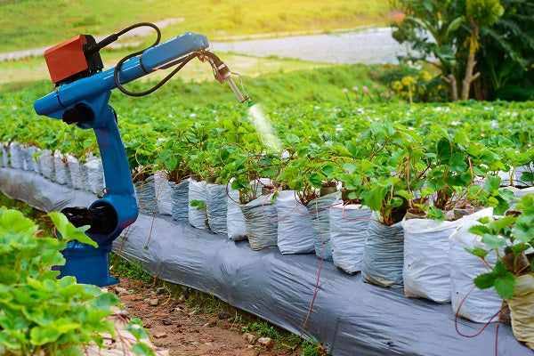 Smart robotic in agriculture spraying fertilizer