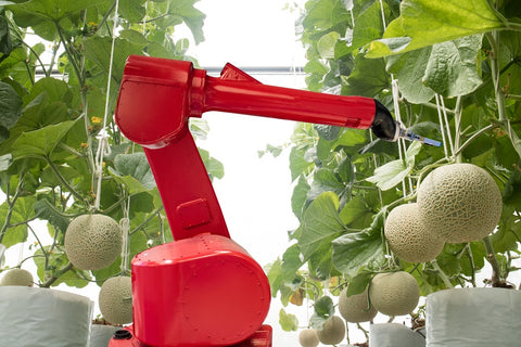 Photo of a robot in smart farming or agriculture for the aim of improving yield