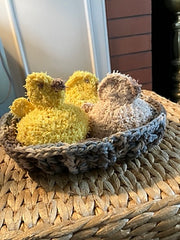 Chicks in a Basket