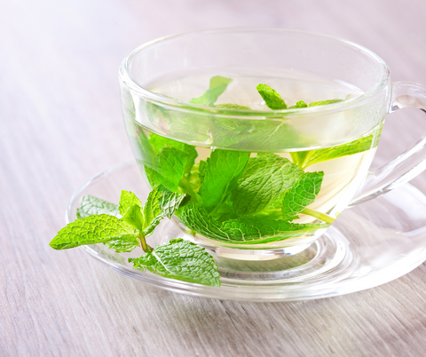 top 5 benefits of peppermint tea the amazing tea company